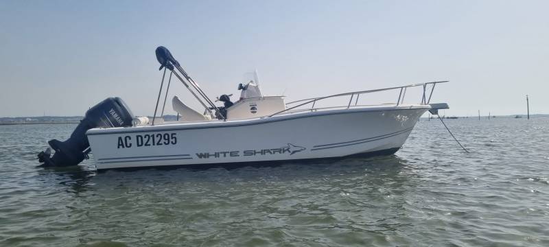 WHITE SHARK 226